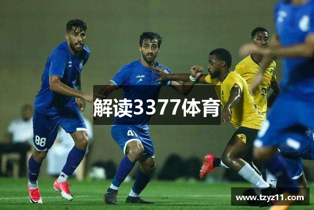 解读3377体育